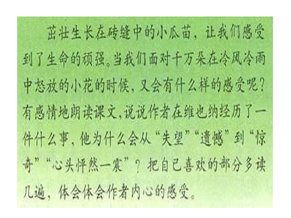 《花的勇气》课件 (3)_第3页