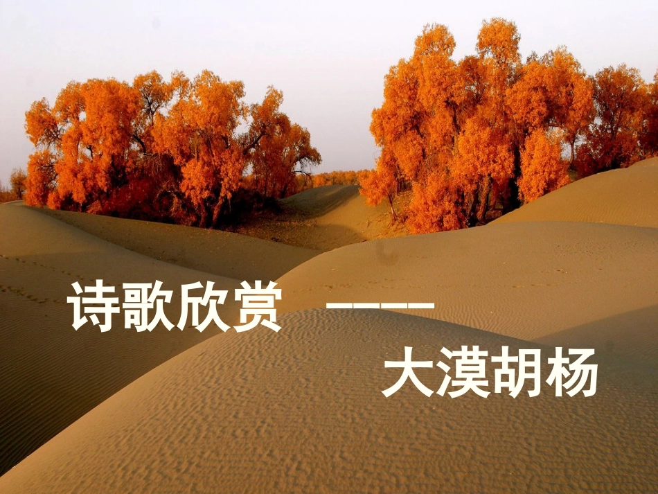 诗歌欣赏-----大漠胡杨_第2页