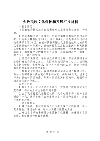 少数民族文化保护和发展汇报材料