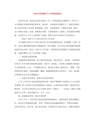 计生局统计个人年终总结范文