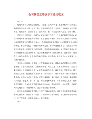 公司新员工培训学习总结范文