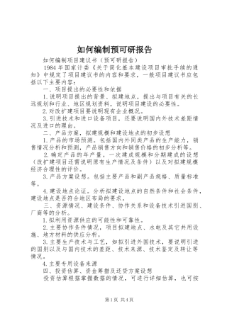 如何编制预可研报告