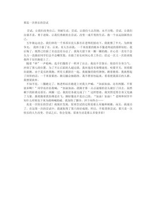 叙事型例文那是一次快乐的尝试