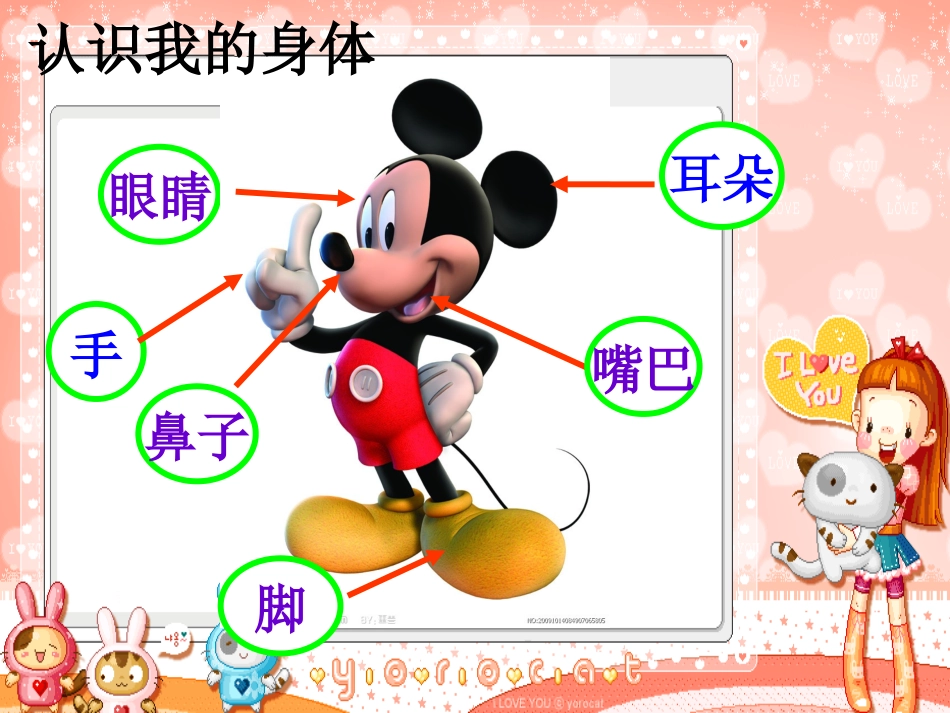 《保护我的眼睛》课件_第3页