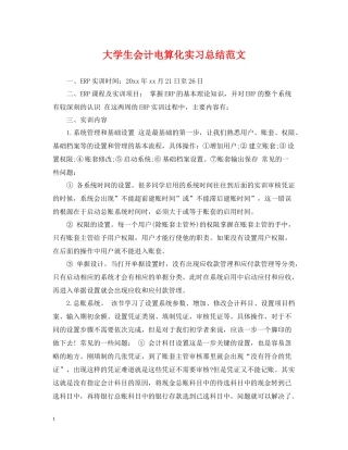 大学生会计电算化实习总结范文