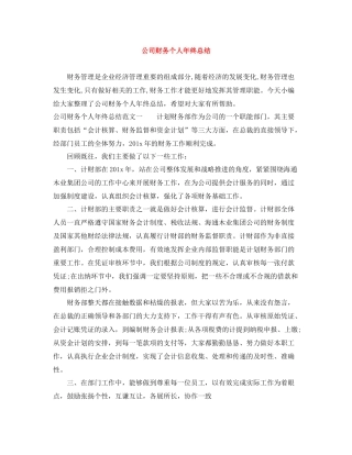 公司财务个人年终总结