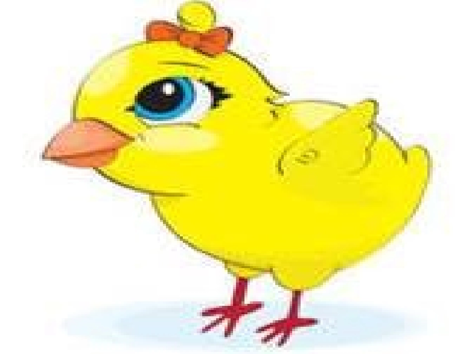 小动物们的食物_第3页