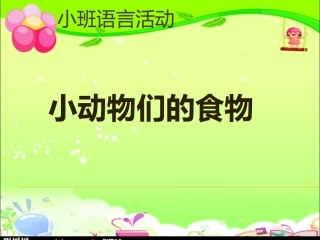 小动物们的食物