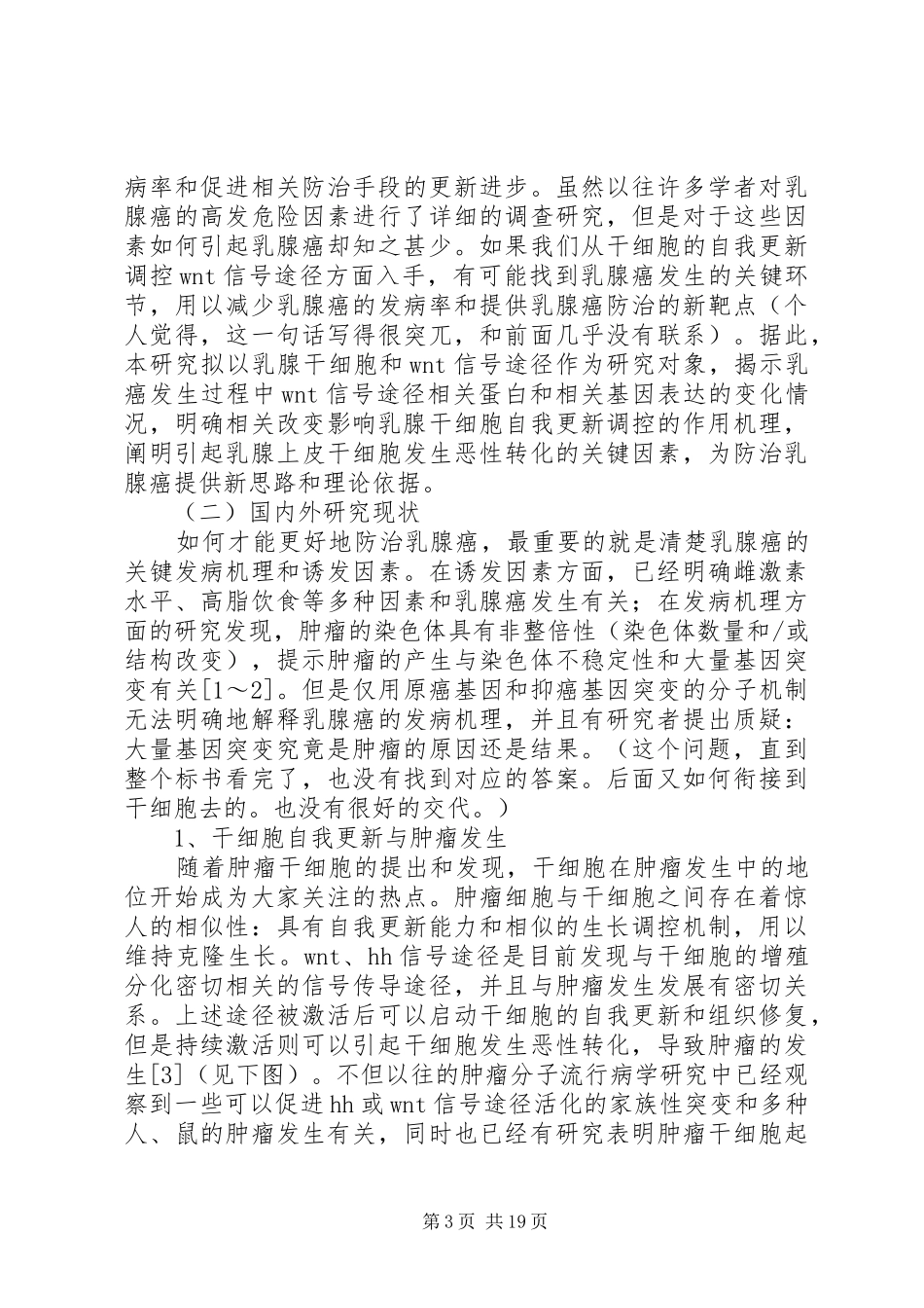 如何写立项报告★_第3页