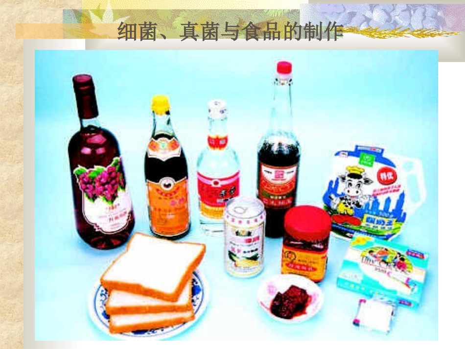 新人教版生物学八年级上册第五单元第五章第二节人类对细菌和真菌的利用精品课件_第2页