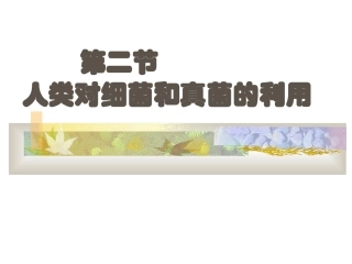 新人教版生物学八年级上册第五单元第五章第二节人类对细菌和真菌的利用精品课件