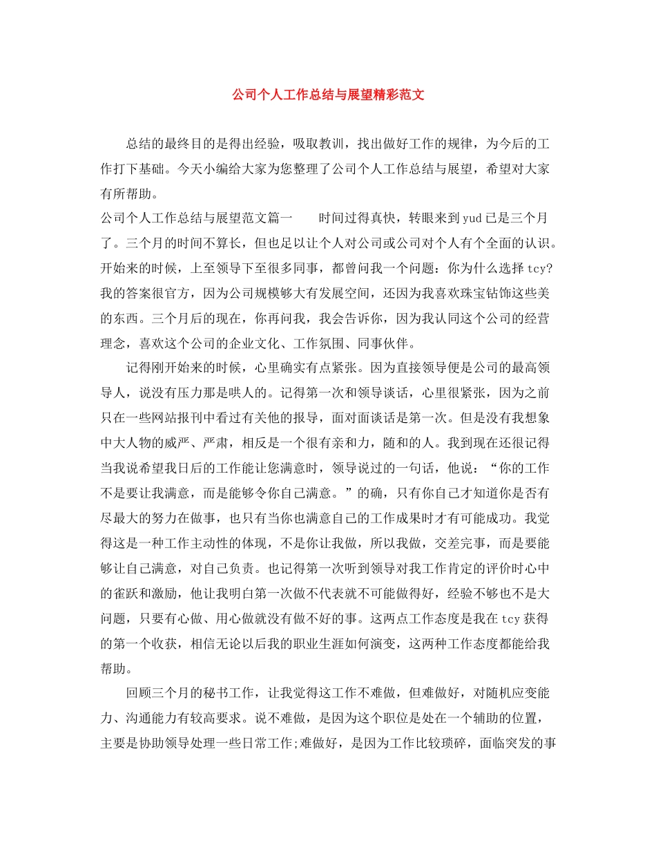 公司个人工作总结与展望精彩范文_第1页