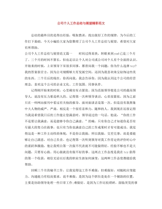 公司个人工作总结与展望精彩范文