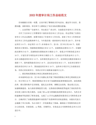 审计局工作总结范文