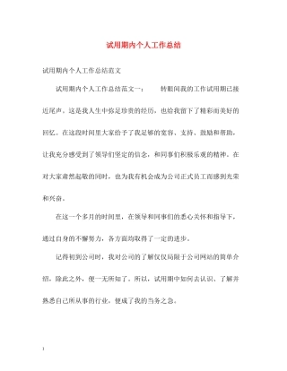 试用期内个人工作总结
