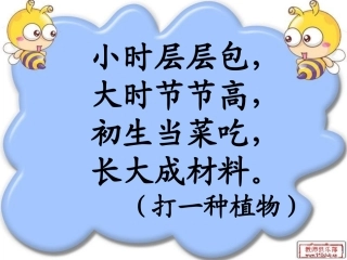 语文二年级下3笋芽儿8