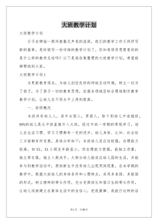 大班教学参考计划