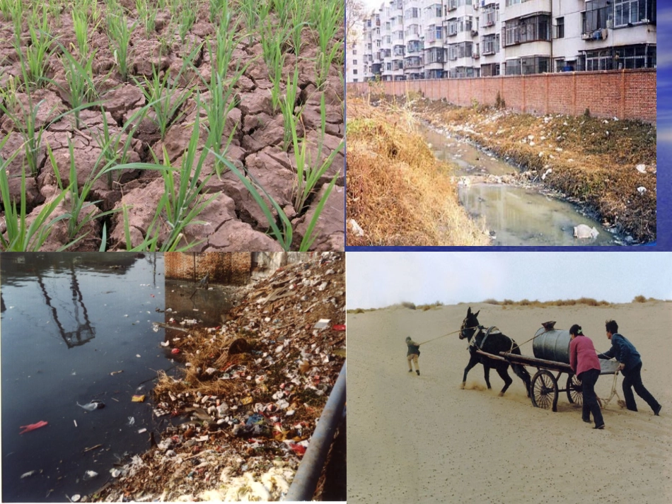 爱护水资源课件_第3页