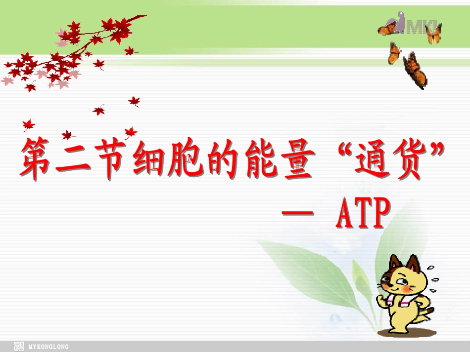 必修1第5章第2节细胞的能量“通货”——ATP_第1页