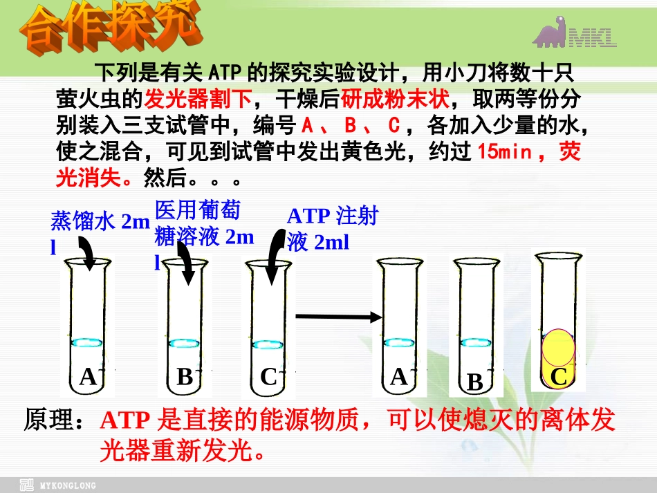 必修1第5章第2节细胞的能量“通货”——ATP_第3页