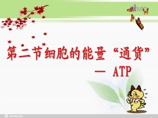 必修1第5章第2节细胞的能量“通货”——ATP