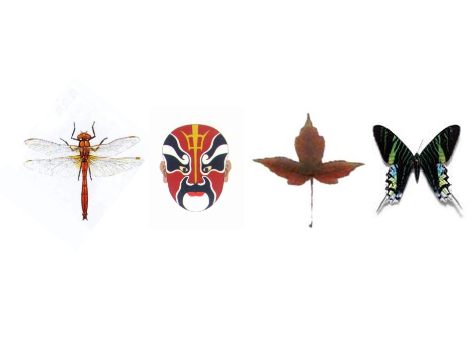 二年级数学上册第五单元观察物体2、轴对称图形课件_第2页