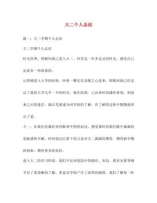 大二个人总结