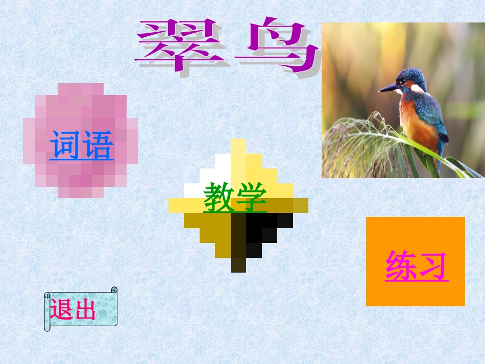 《翠鸟》课件3_第2页