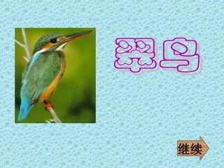 《翠鸟》课件3