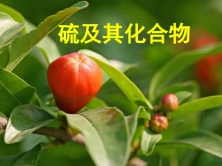 硫及其化合物