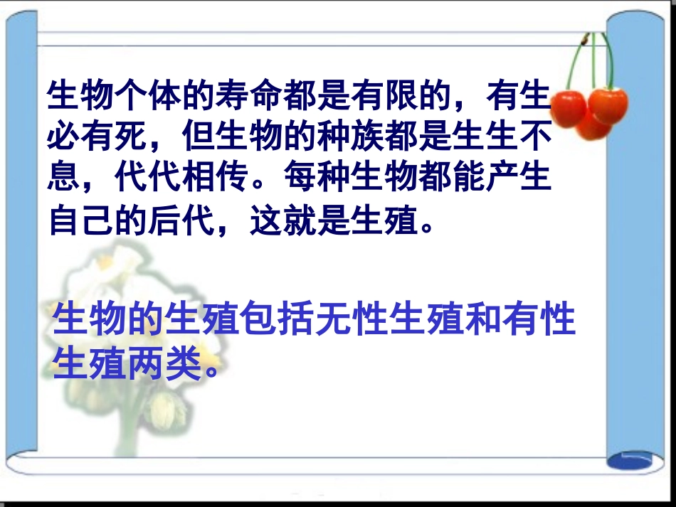 生殖的种类课件_第2页