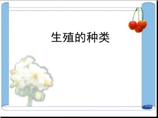 生殖的种类课件