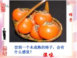 第七单元第二节碱及其性质