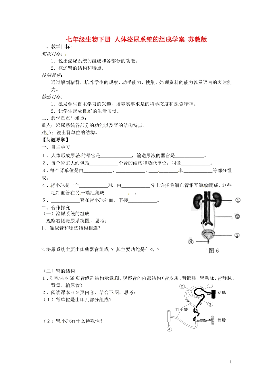 七年级生物下册-人体泌尿系统的组成学案(无答案)-苏教版_第1页