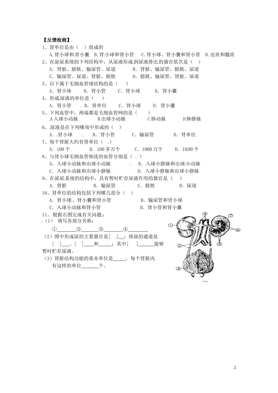 七年级生物下册-人体泌尿系统的组成学案(无答案)-苏教版_第2页