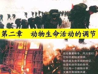 【正】内环境与稳态