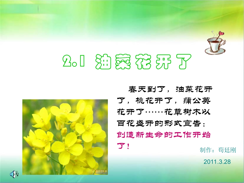 -油菜花开了_第1页