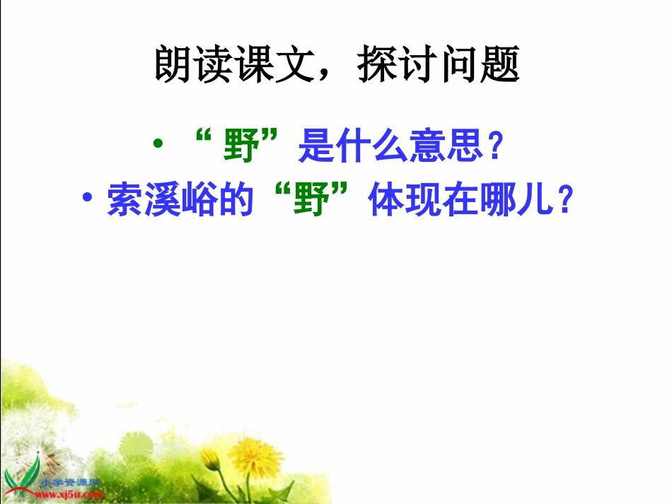 索溪峪的“野”_第2页