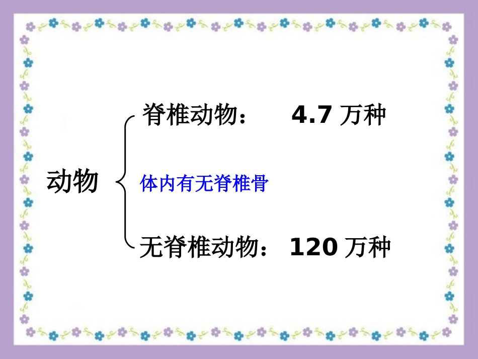 浙教版七上科学常见的脊椎动物_第2页