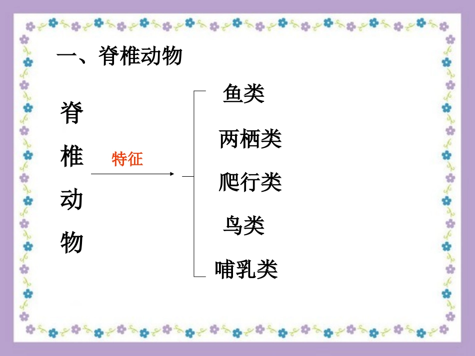浙教版七上科学常见的脊椎动物_第3页