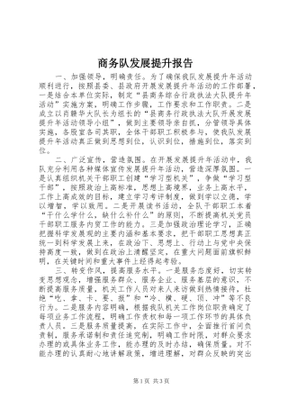 商务队发展提升报告