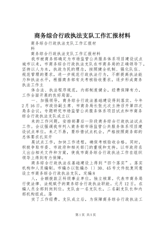 商务综合行政执法支队工作汇报材料