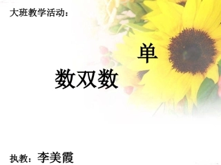 单数双数课件