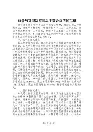商务局贯彻落实三级干部会议情况汇报