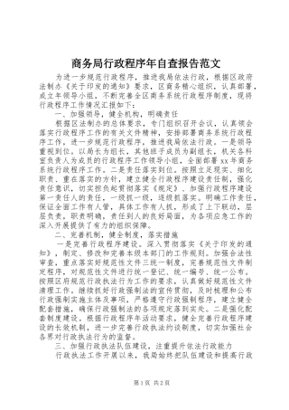 商务局行政程序年自查报告范文