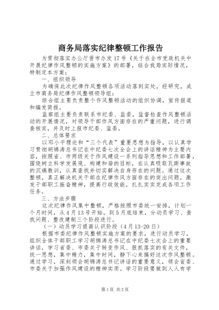 商务局落实纪律整顿工作报告