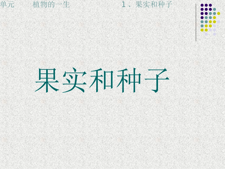《果实和种子》苏教版小学三下课件_第1页
