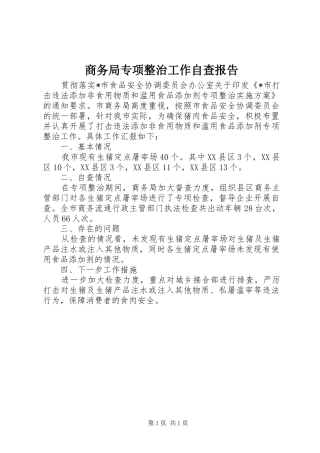 商务局专项整治工作自查报告