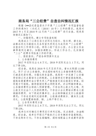 商务局“三公经费”自查自纠情况汇报