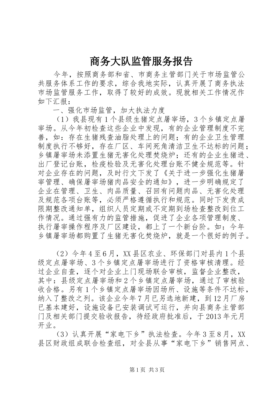 商务大队监管服务报告_第1页